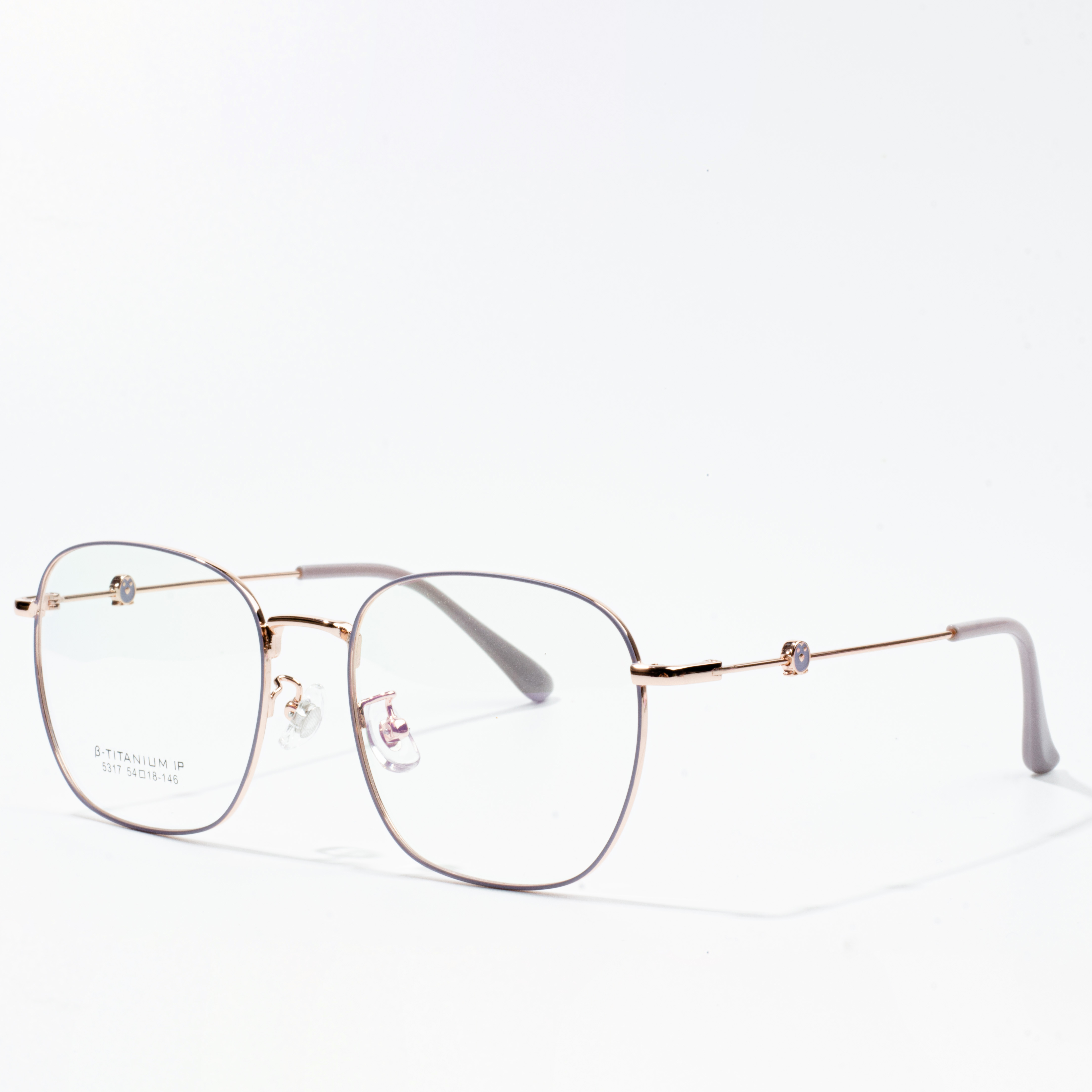 titanium eyeglasses frames