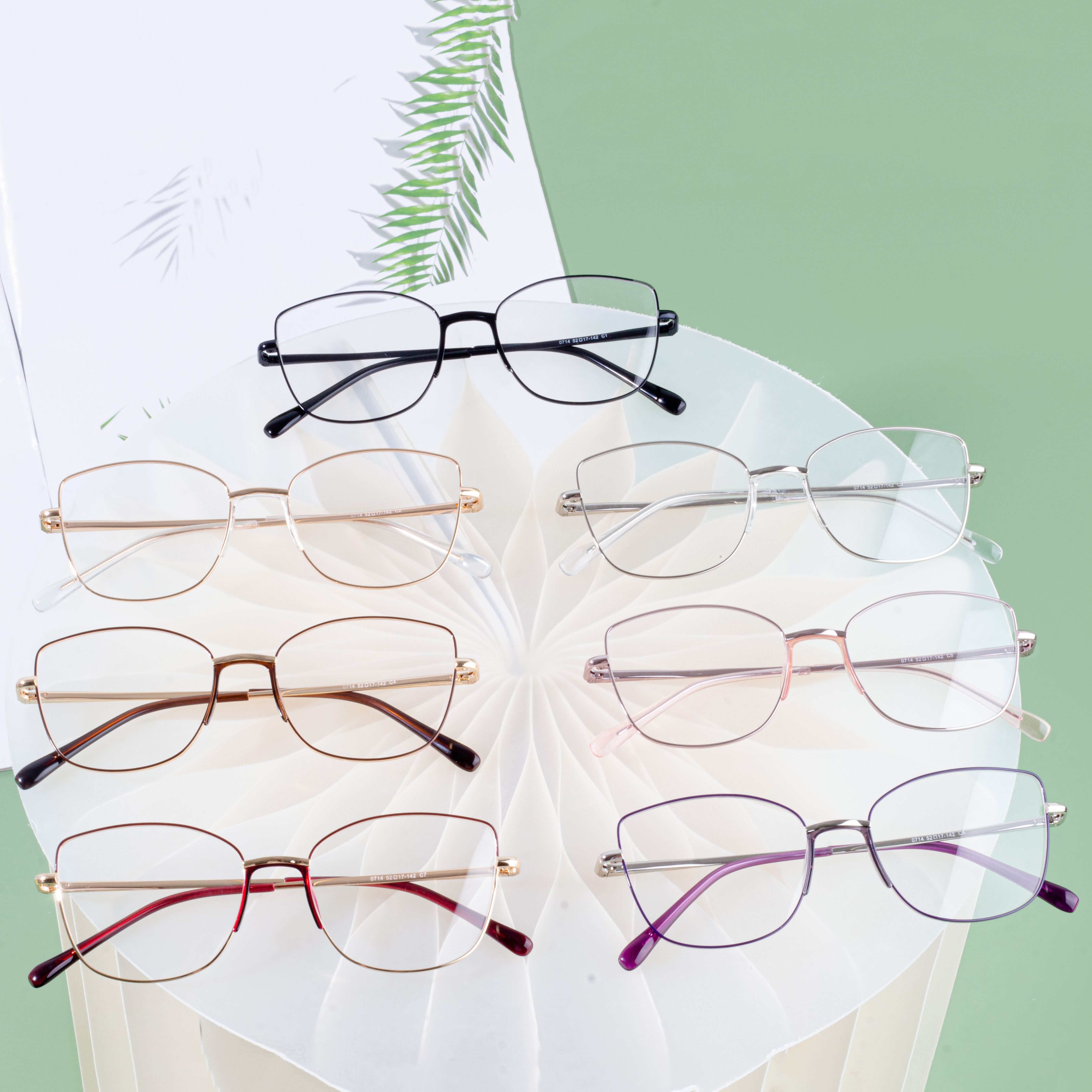 eyeglasses frames women